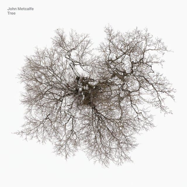 John Metcalfe - Tree (2 LP)