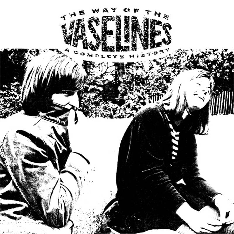 Vaselines - The Way Of The Vaselines - A Complete History (2 LP)
