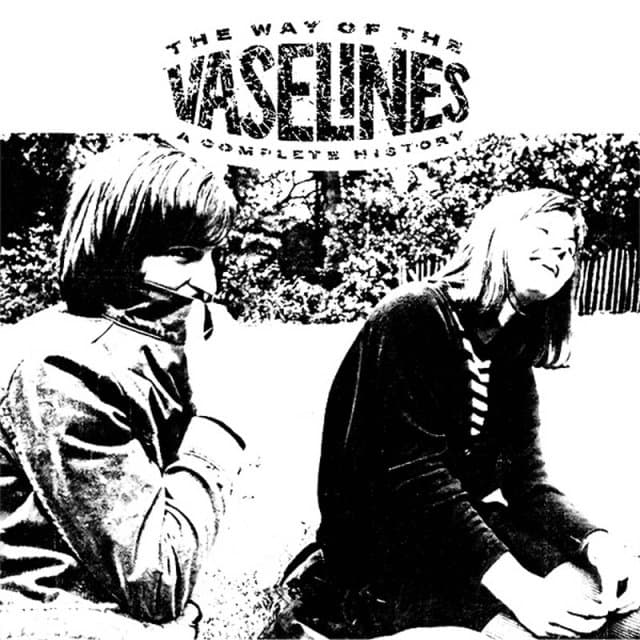 Vaselines - The Way Of The Vaselines - A Complete History (2 LP)