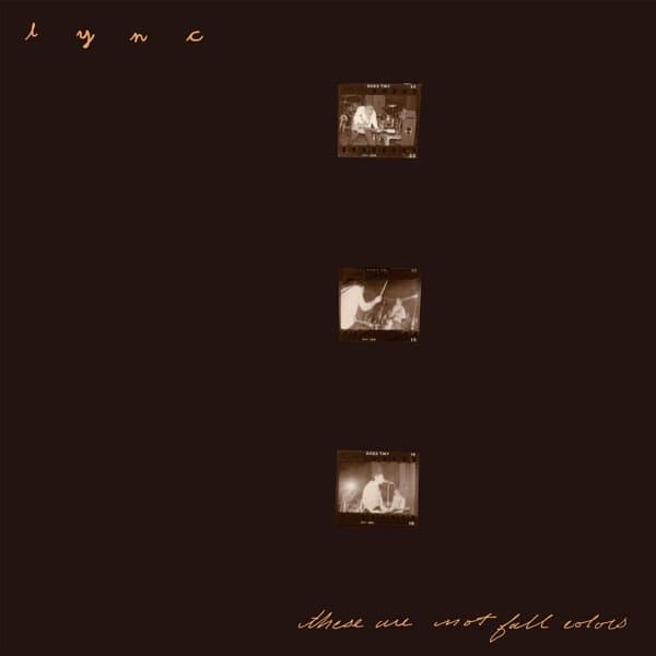 Lync - These Are Not Fall Colors (2 LP)