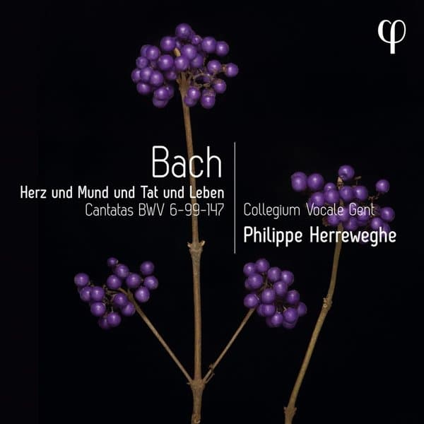 Collegium Vocale Gent, Philippe Herreweghe - J.S. Bach: Herz Und Mund Und Tat Und Leben - Cantatas Bwv 6-9 (CD)