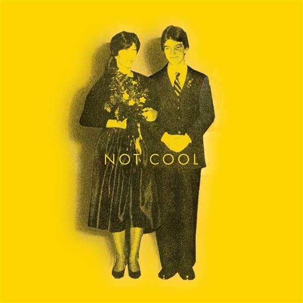 Tim Easton - Not Cool (LP) (Limited Edition)