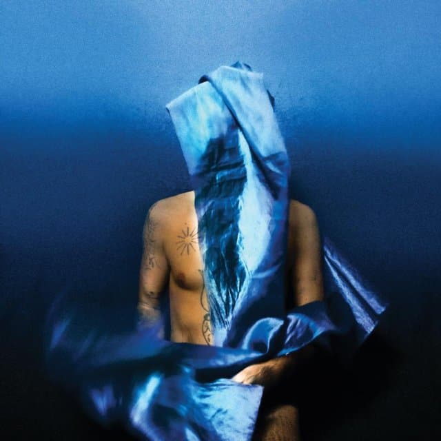 Devendra Banhart - Flying Wig (LP) (Coloured Vinyl)