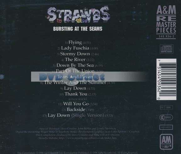 Strawbs (the) - Bursting At The Seams [remastered]