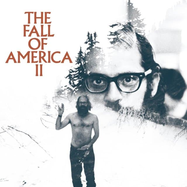 Various Artists - The Fall Of America II (LP)