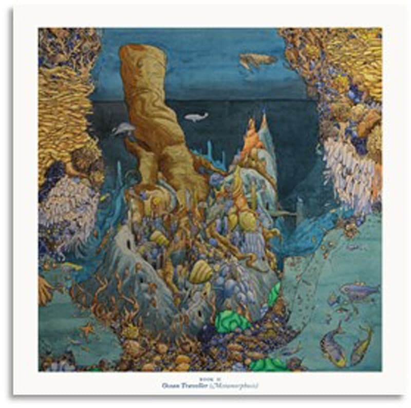 Chronicles Of Father Robin - Songs & Tales Of Airoea: Book II: Ocean Traveller (Metamorphosis) (LP)
