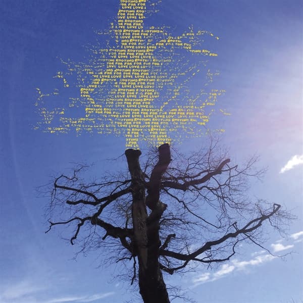 Laetitia Sadier - Rooting For Love (CD)