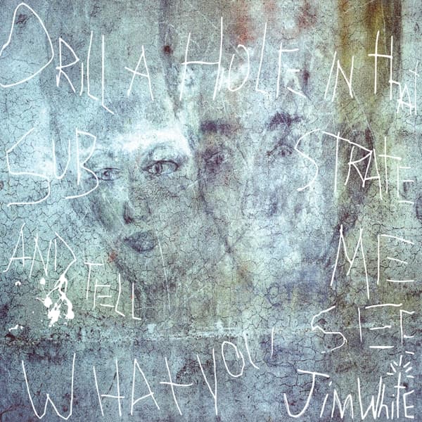 Jim White - Drill A Hole In That Substrate And Tell Me What You See (2 LP)