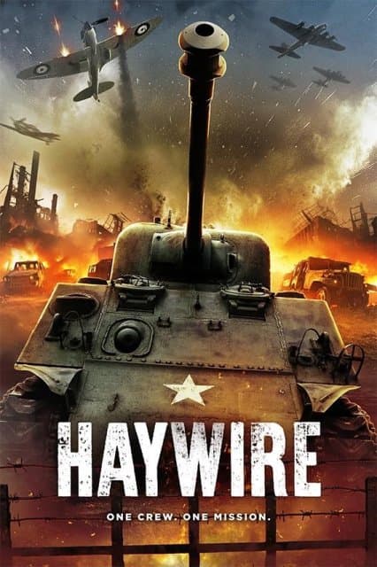 Haywire (DVD)