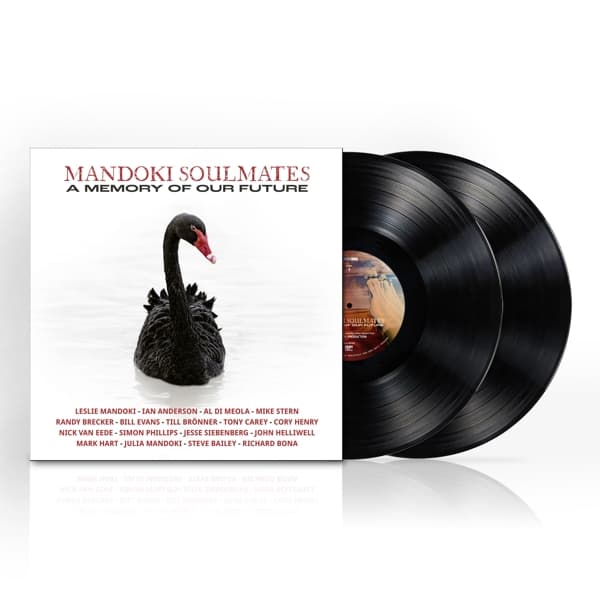 Man Doki Soulmates - A Memory Of Our Future (2 LP)