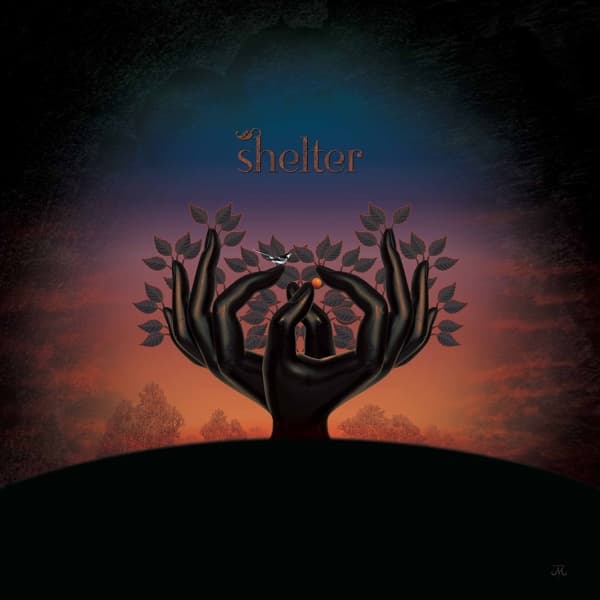Laughing Stock - Shelter (CD)