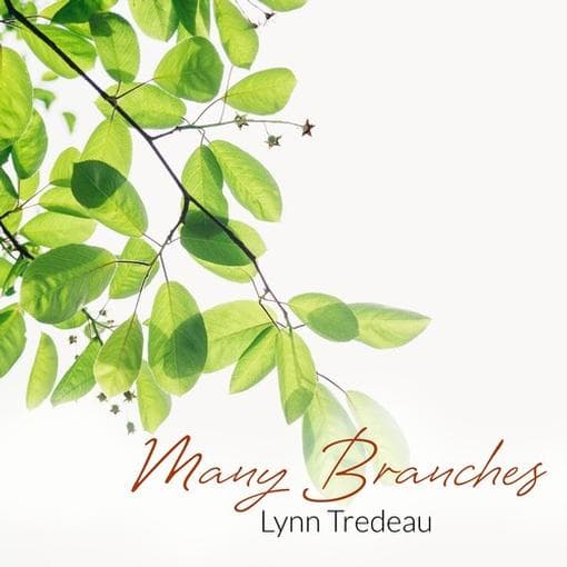 Lynn Tredeau - Many Branches (CD)