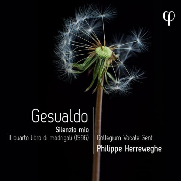 Collegium Vocale Gent, Philippe Herreweghe - Gesualdo: Silenzio Mio. Il Quarto Libro Di Madrigali (CD)