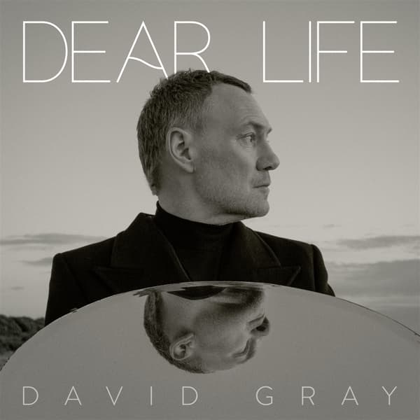 David Gray - Dear Life (2 LP)