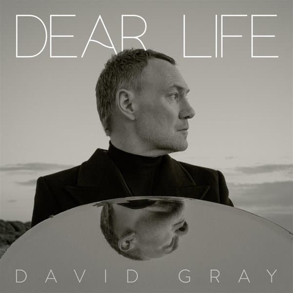 David Gray - Dear Life (2 LP)