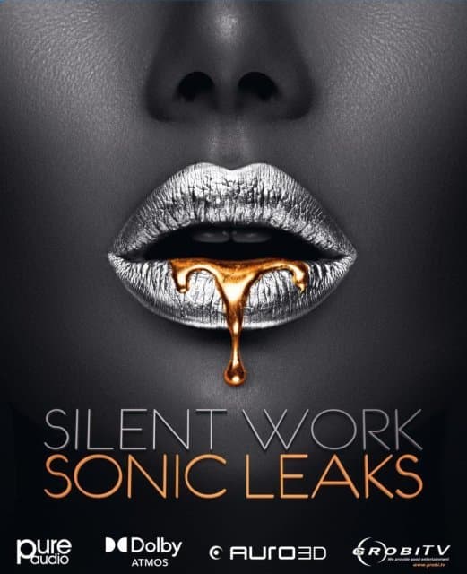 Silent Work - Sonic Leaks (Blu-ray)