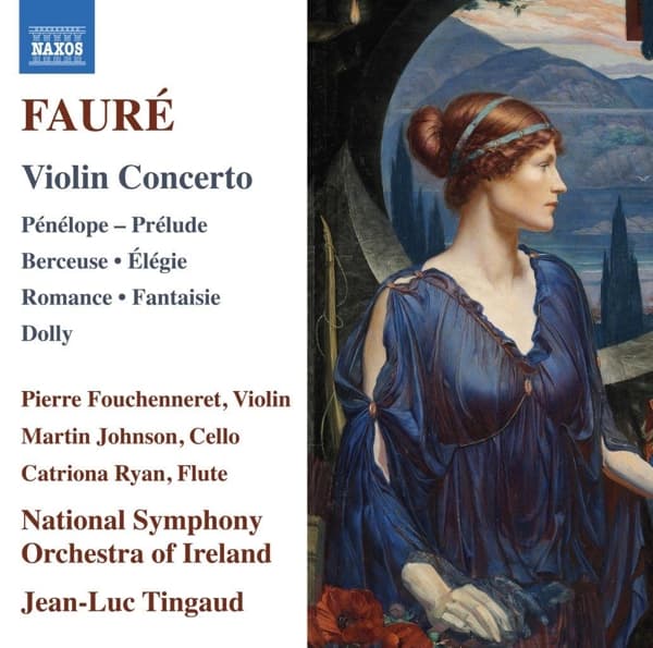 Pierre Fouchenneret, Martin Johnson, National Symphony Orchestra Of Ireland - Fauré: Orchestral Works (CD)