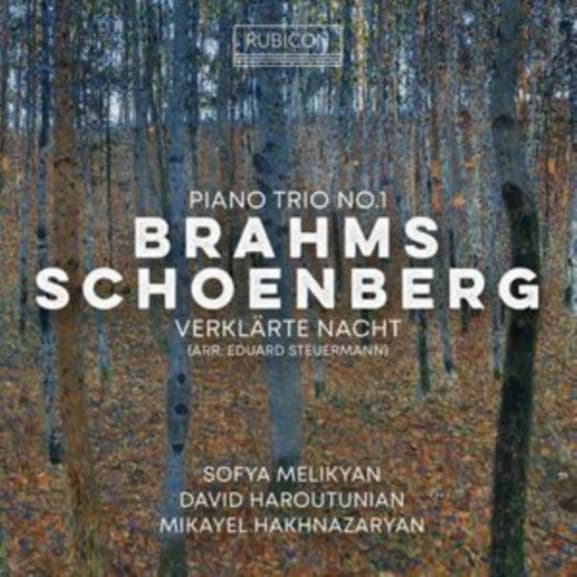 Sofya Melikyan, David Haroutunian & Mikayel Hakhnazaryan - Brahms: Piano Trio No. 1 / Schönberg: Verklarte Nacht (CD)