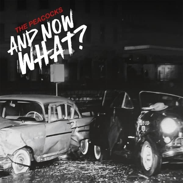 Peacocks - And Now What? (CD)