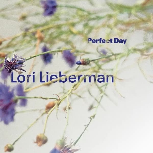 Lori Lieberman - Perfect Day (LP)