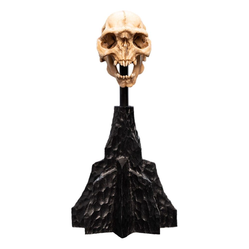 Open Edition Polystone - Lotr - Skull Of A Moria Orc Polystone Statue