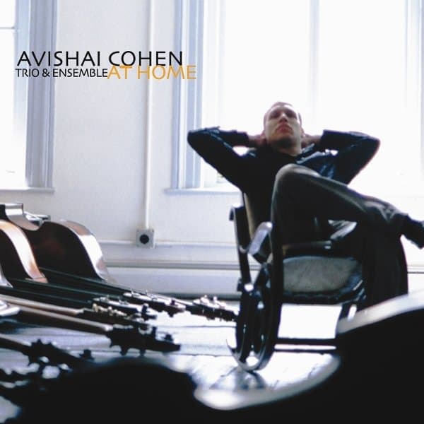 Avishai Cohen - At Home (2 LP)