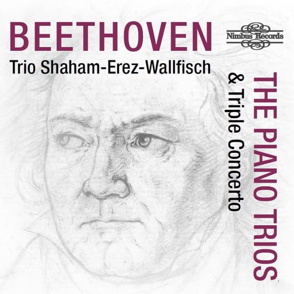Trio Shaham-Erez-Wallfisch - Beethoven: The Piano Trios & Triple Concerto (4 CD)