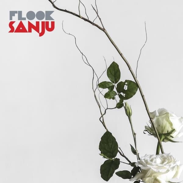 Flook - Sanju (LP)