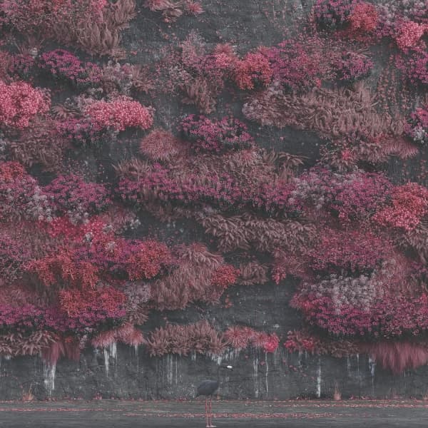 Sleep Token - Even In Arcadia (2 LP)