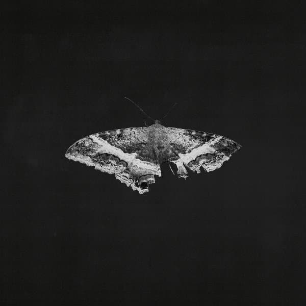 Kendrick Lamar - To Pimp A Butterfly (2 LP) (10th Anniversary Edition)