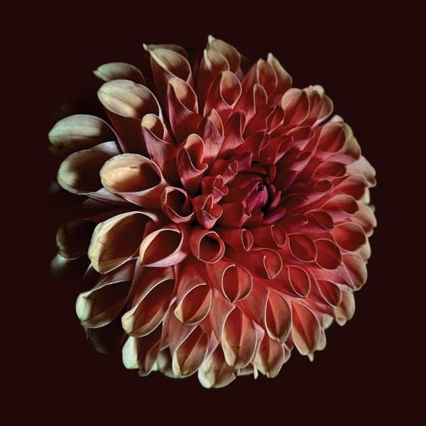 Jessica Moss - Unfolding (LP)