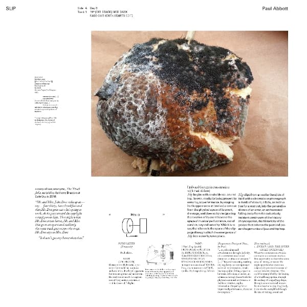 Paul Abbott - Slip (2 LP)