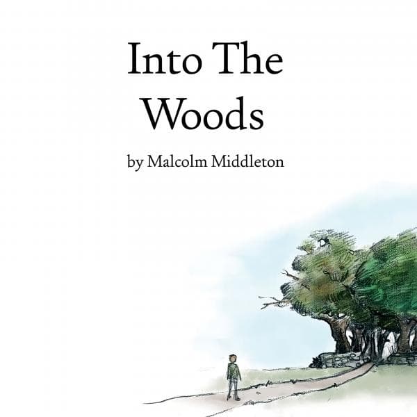 Malcolm Middleton - Into The Woods (LP)