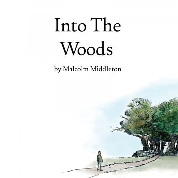 Malcolm Middleton - Into The Woods (LP)