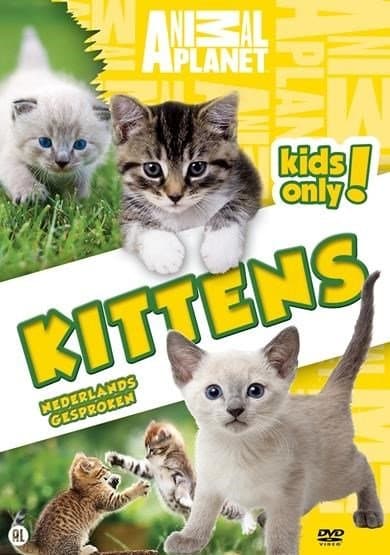 Animal planet - Kittens (DVD)