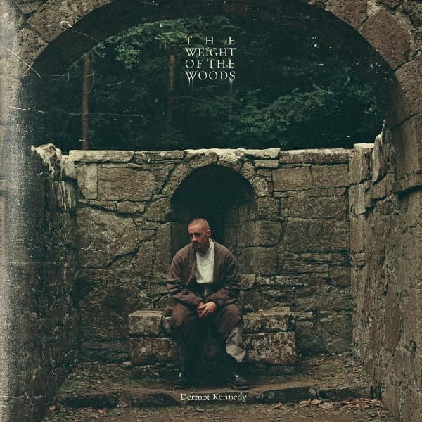 Dermot Kennedy - The Weight Of The Woods (LP) (Recycled Vinyl)