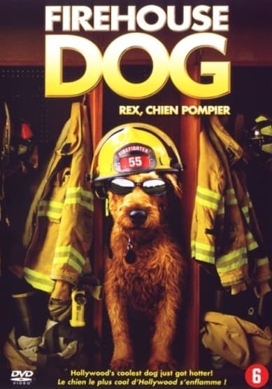 Firehouse dog