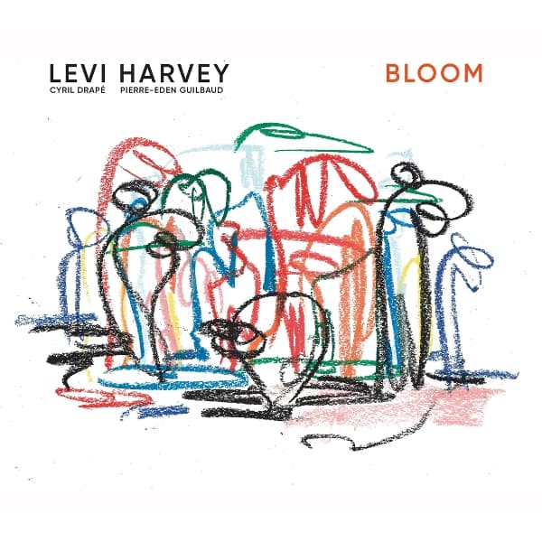 Levi Harvey - Bloom (LP)