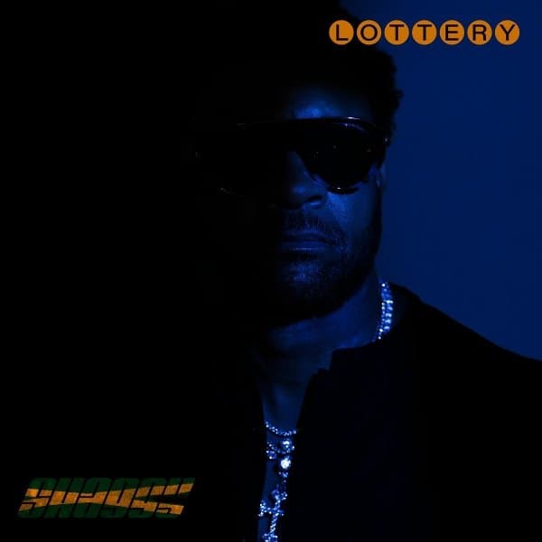 Shaggy - Lottery (LP)