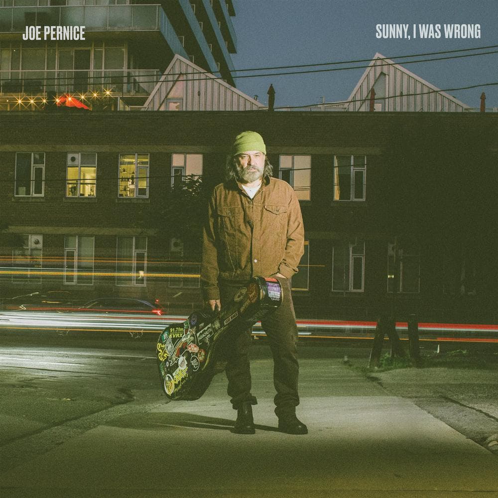 Joe Pernice - Sunny. I Was Wrong (black/blue Splatter Vinyl) (indie Exclusive)