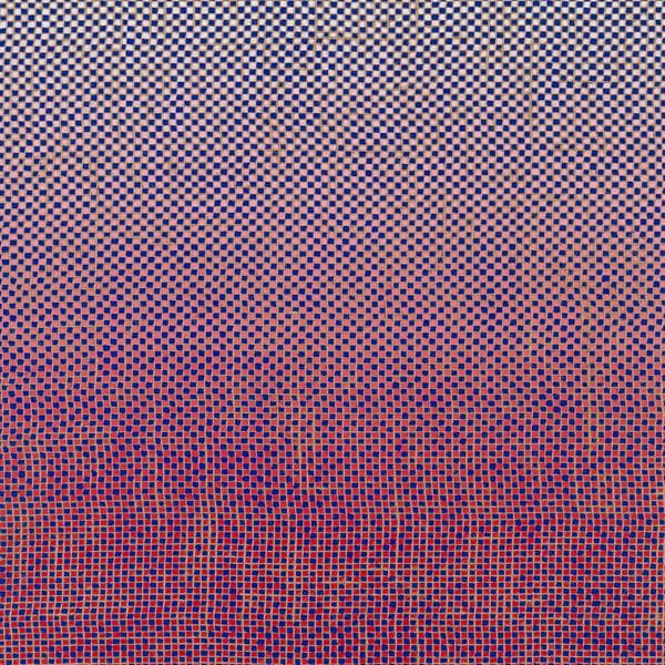 Ambrose Akinmusire & Mary Halverson - Slo-Mo Neon Luminate Hoverings (CD)