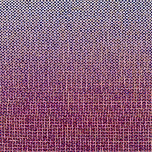 Ambrose Akinmusire & Mary Halverson - Slo-Mo Neon Luminate Hoverings (LP)