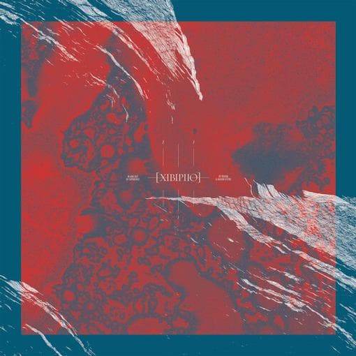 Troum & Raison d'Être - Xibipiio (2 LP)