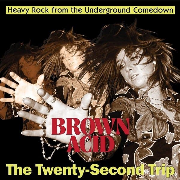 Various Artists - Brown Acid: The Twenty-Second Trip (LP)