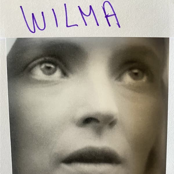Daniele Luppi - Wilma (LP)