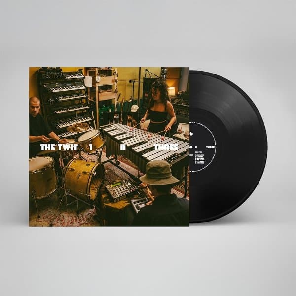 The Twit 1, II, Three - The Twit 1, II, Three (LP)