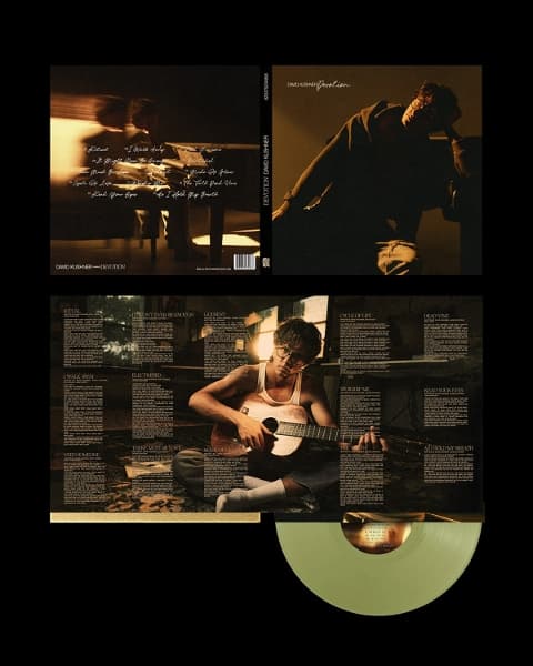 David Kushner - Devotion (LP)
