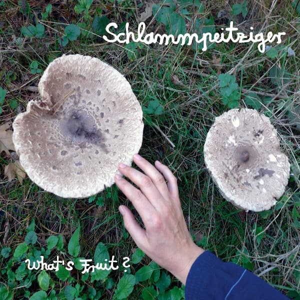 Schlammpeitziger - What's Fruit ? (CD)