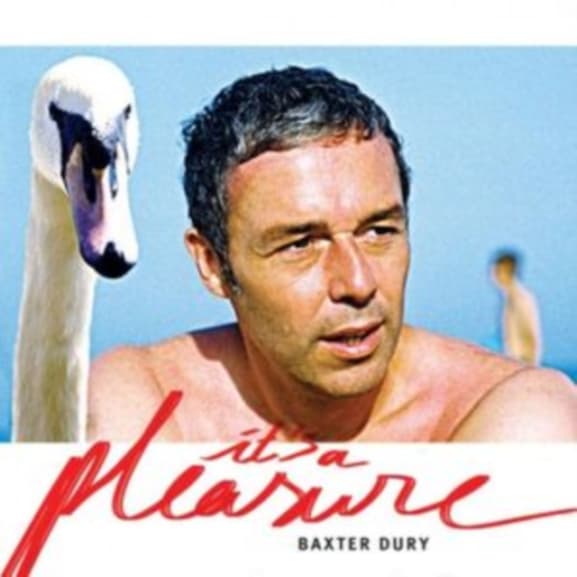 Baxter Dury - Its A Pleasure (LP)