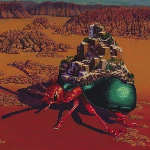 Survival Knife - Loose Power (LP)